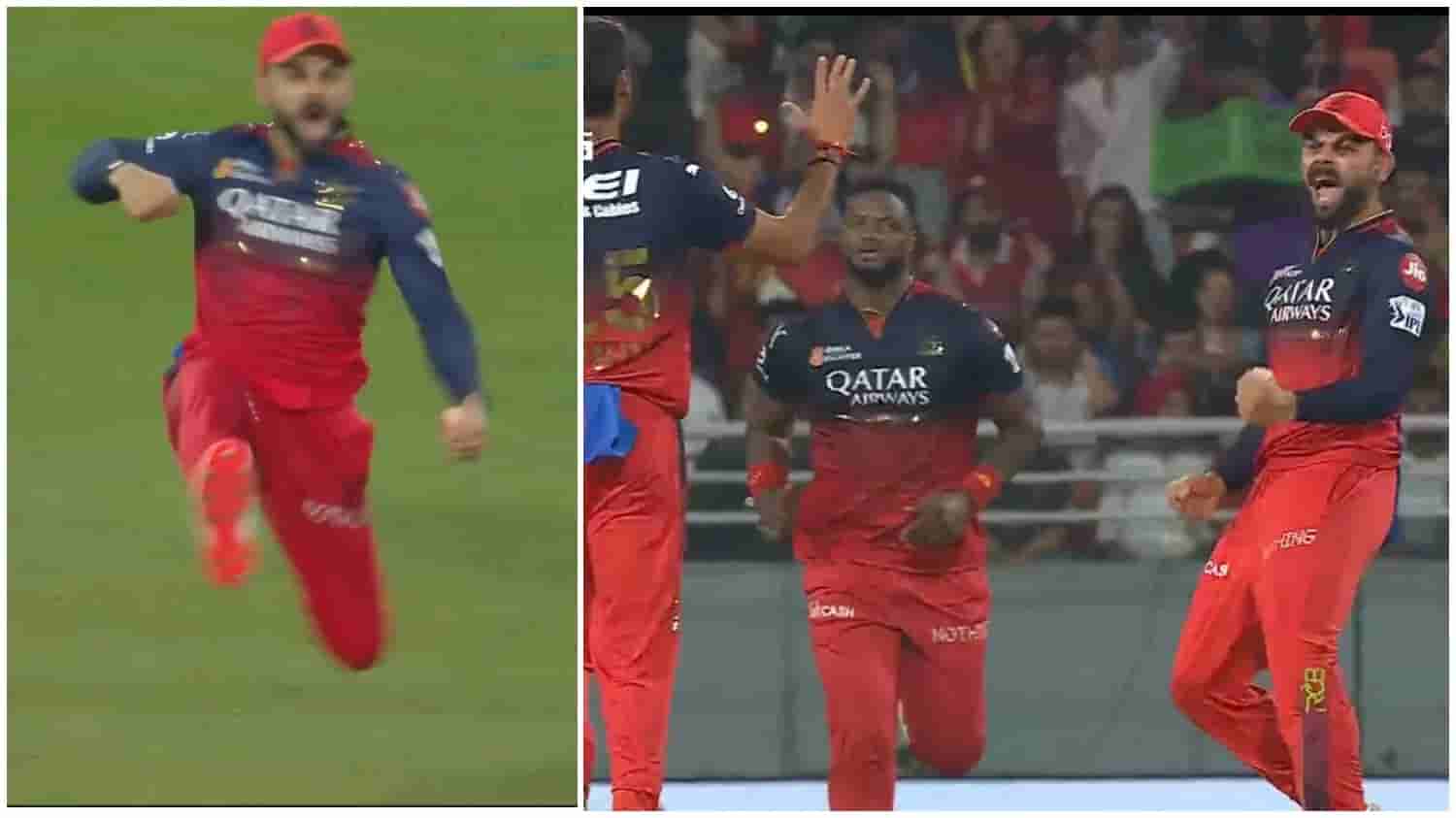 Virat Kohli celebration 