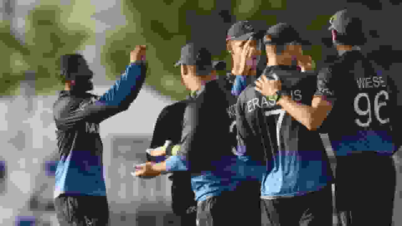 382269.6.webp
