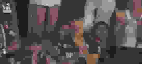 gt loss.webp