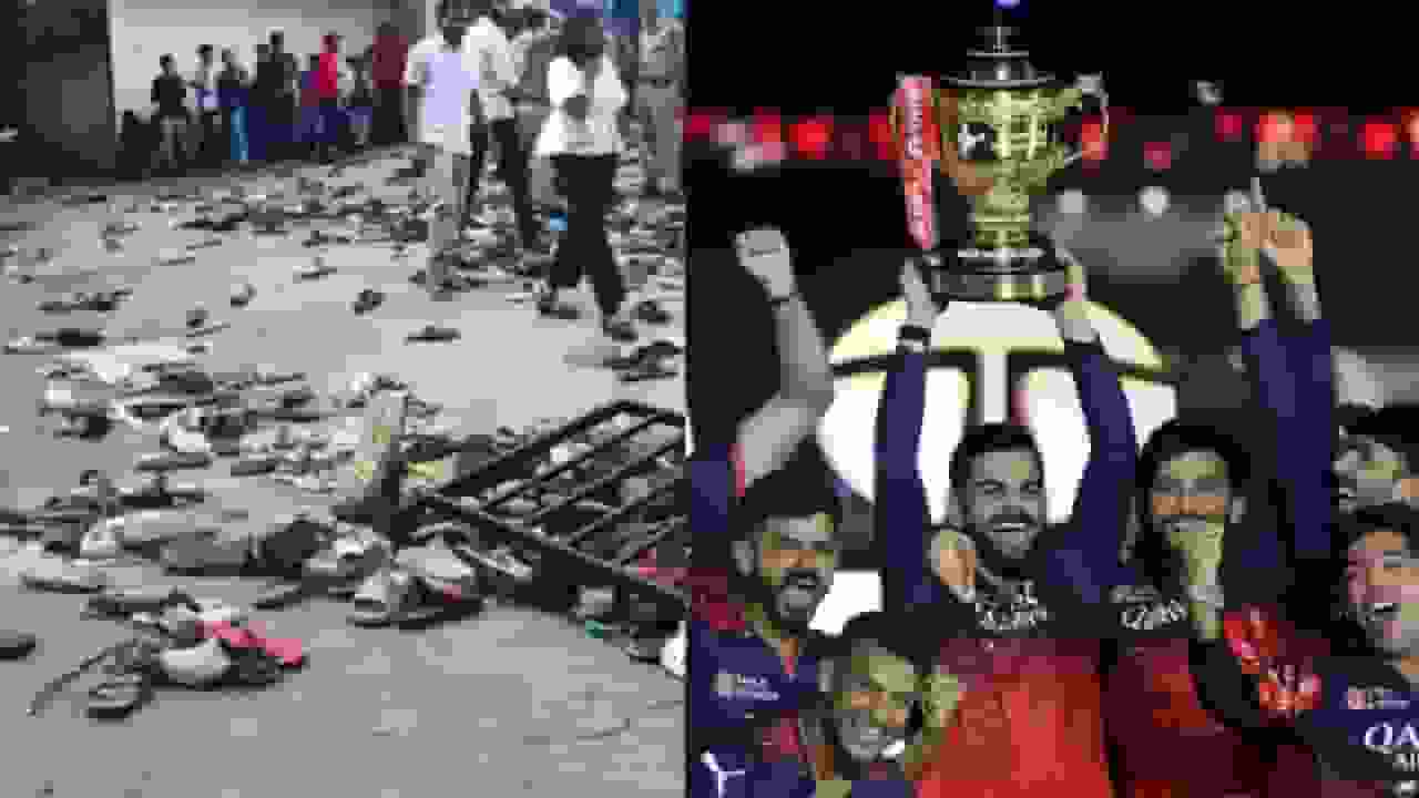rcb stampede modi.webp